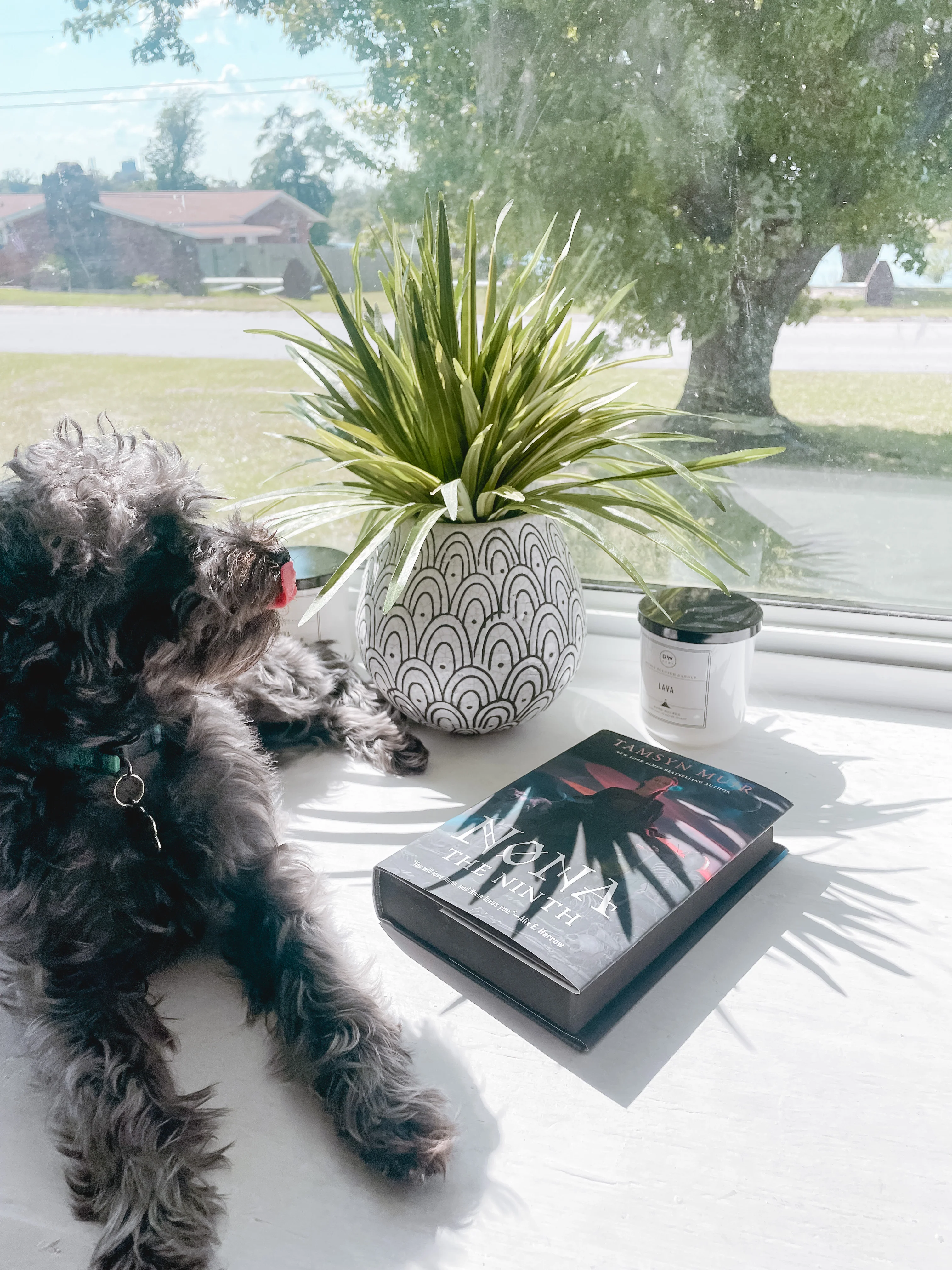 Nona the Ninth by Tamsyn Muir (Deluxe Edition) - Image 3