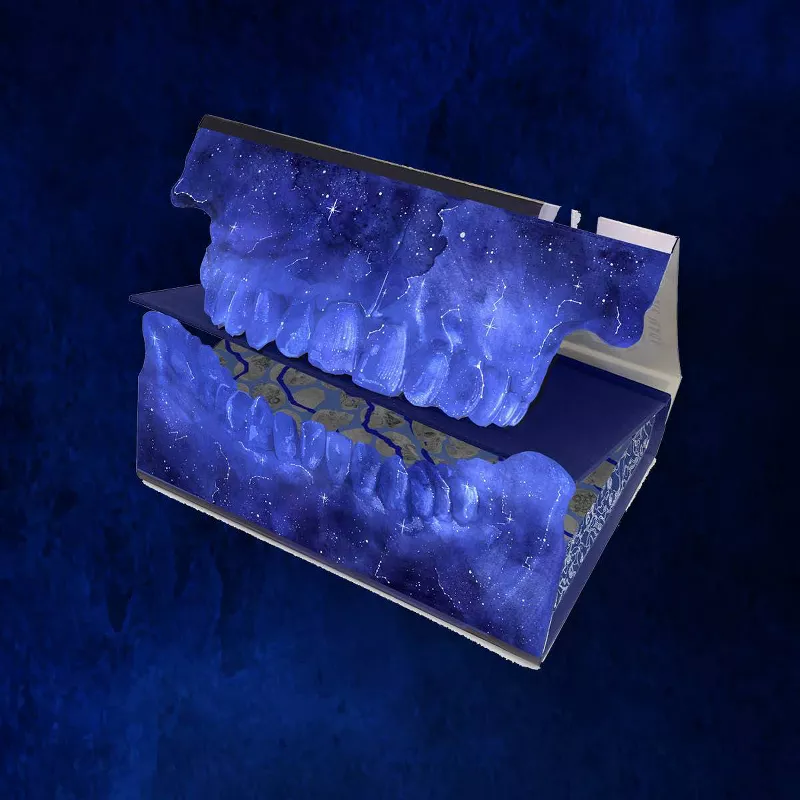 They Both Die at the End by Adam Silvera (Collector's Edition) - Image 4